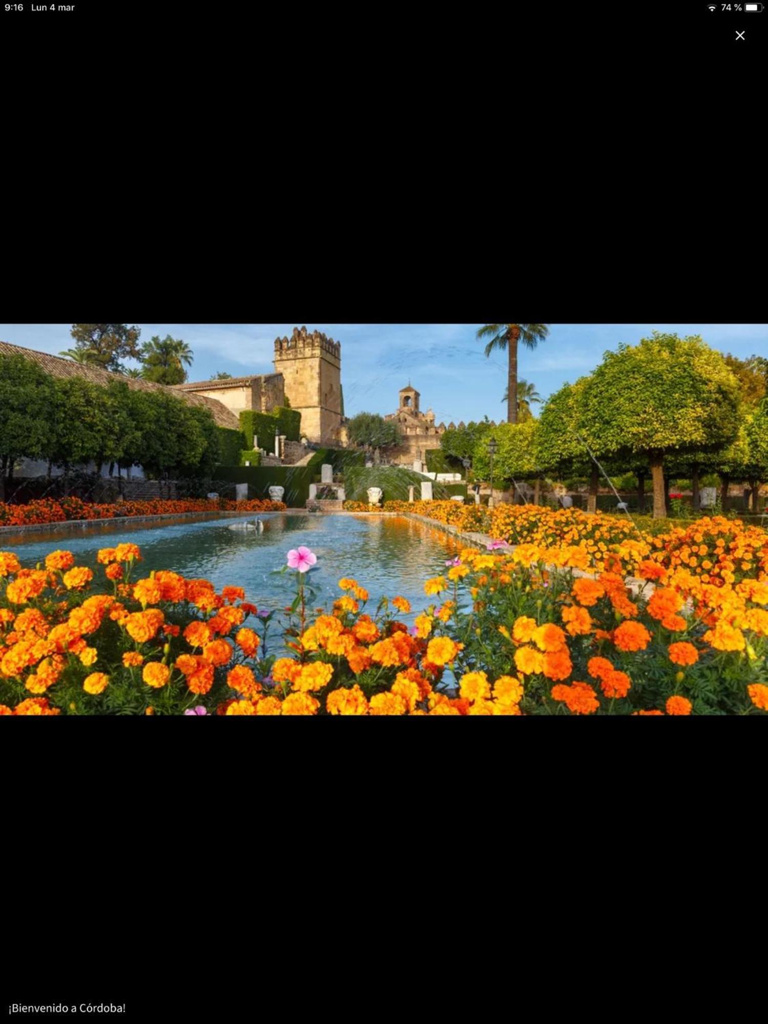דירות קורדובה Centro Historico Mezquita Juderia La Preferida מראה חיצוני תמונה