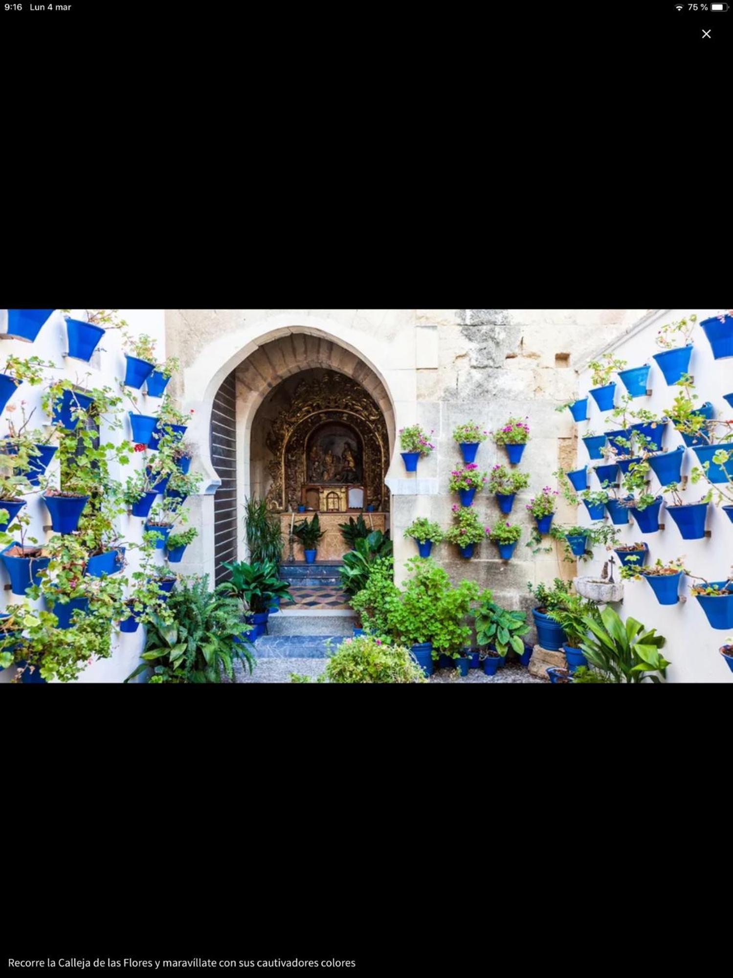 דירות קורדובה Centro Historico Mezquita Juderia La Preferida מראה חיצוני תמונה