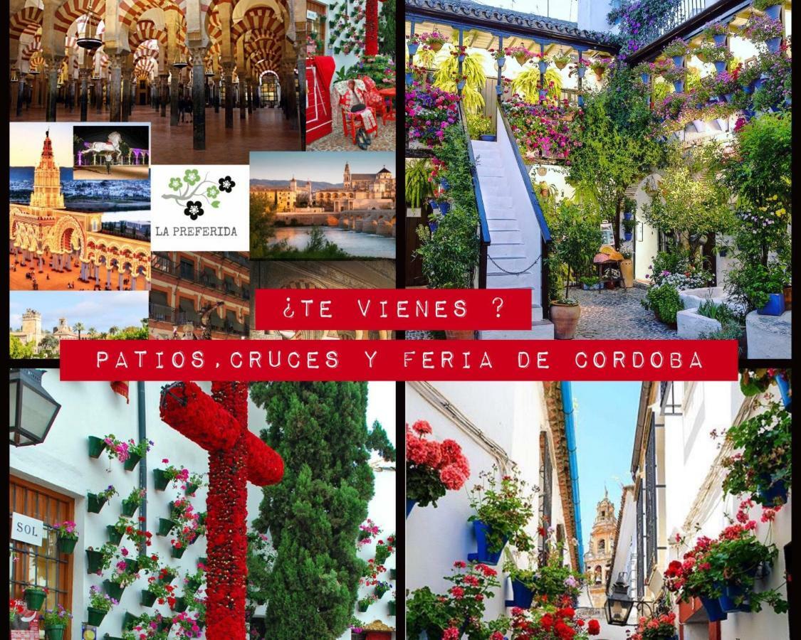 דירות קורדובה Centro Historico Mezquita Juderia La Preferida מראה חיצוני תמונה